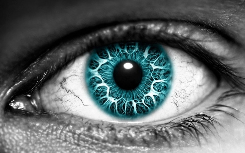 eye, macro, eyes, close-up, one person, blue, eyebrow, blue eyes, black, 1080P, isolated color, eyelash, eyelid, beautiful woman, extreme close-up, real people