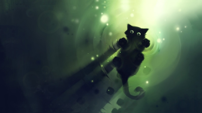 full length, artwork, portrait, animals, vertebrate, nature, underwater, 1080P, shadow, Apofiss, indoors, ripples, no people, green color, black, cat