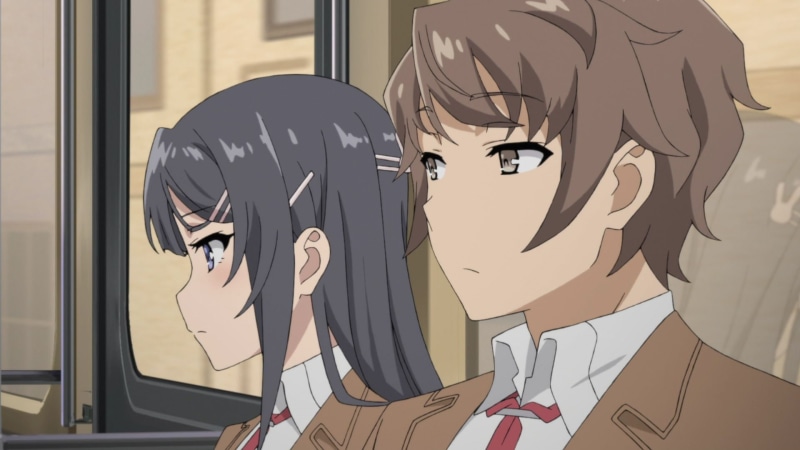 Brown Hair, Rascal Does Not Dream of Bunny Girl Senpai, Mai Sakurajima, Grey Hair, Blue Eyes, Anime, Sakuta Azusagawa, Brown Eyes, 1080P