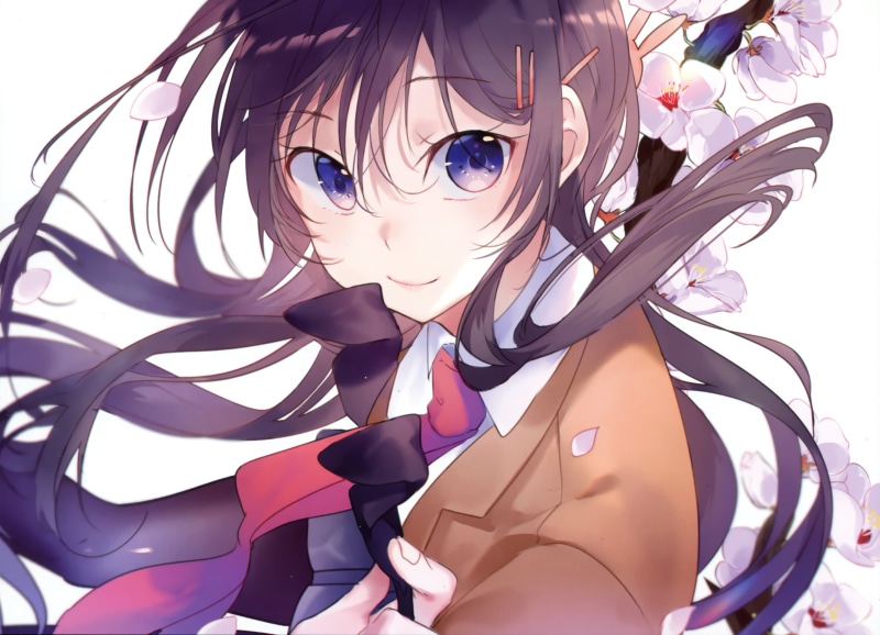 Mai Sakurajima, Rascal Does Not Dream of Bunny Girl Senpai, Anime, 2K