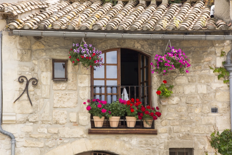 facade, balcony plant, built structure, flower pot, outdoors, flowering plant, opened, 5K, no people, potted plant, Flowers, building, Balcony, Plant