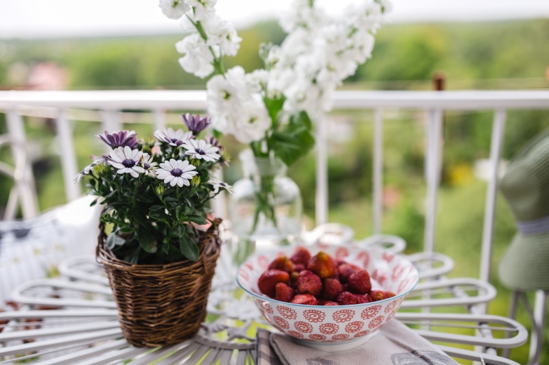 Balcony, Country-style, outdoor, summertime, decoration, flower, country, berry fruit, decor, cozy, garden, relax, resting, nature, outdoors, fruit, food and drink
