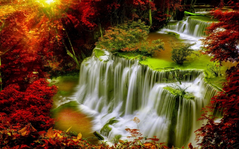 forest, cascade, pc, leaves, autumn, red, phones, sunlight, desktop, hd, mobile, tablet, 2K, falls