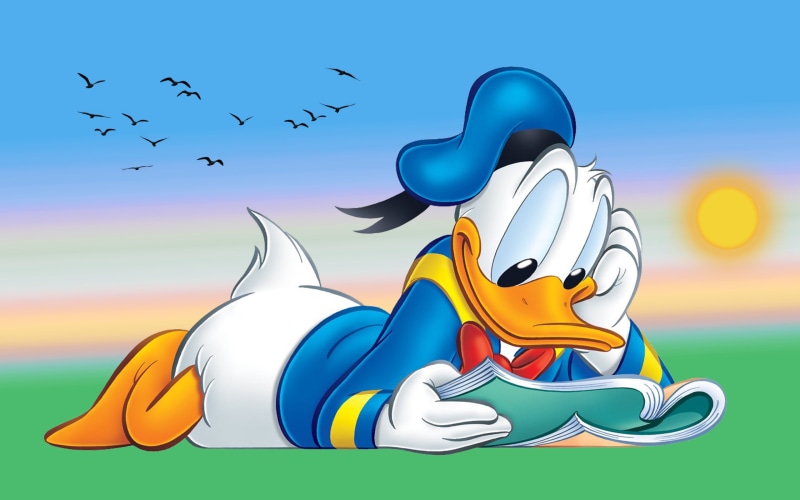hd, 2K, duck, donald, tablet, cartoon, reading, desktop, book, pc