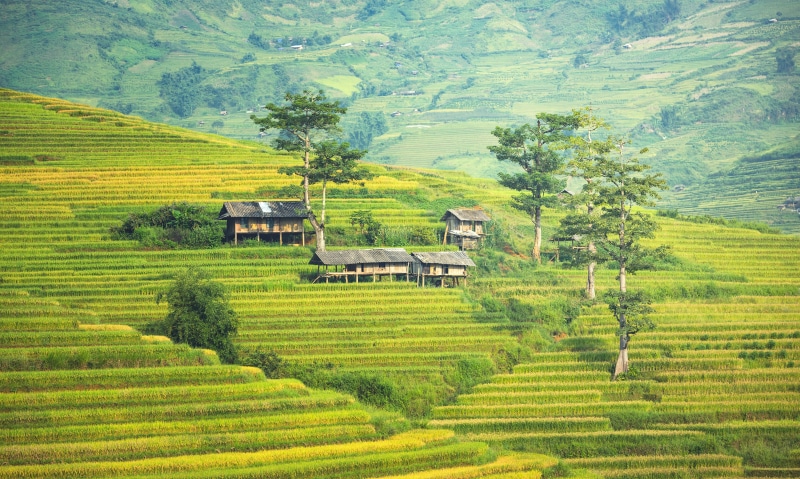 cambodia, viet, yen, the village, scenics, 5K, hut, grass, curve, mountain, sunset, field, ecology, the environment, architecture, rural scene, plant