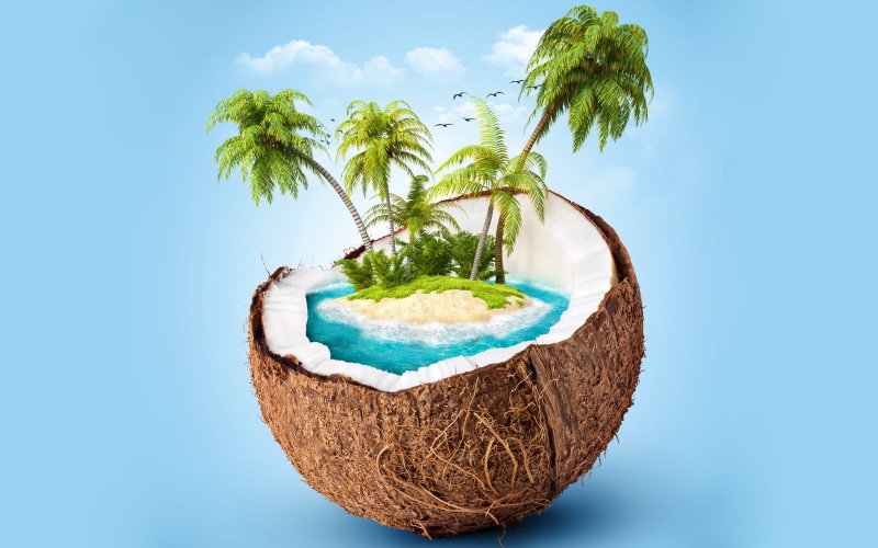 fruit, wellbeing, plant part, temptation, coconut, island, palm tree, leaf, illustration, green, trees, render, green color, indoors, still life, growth