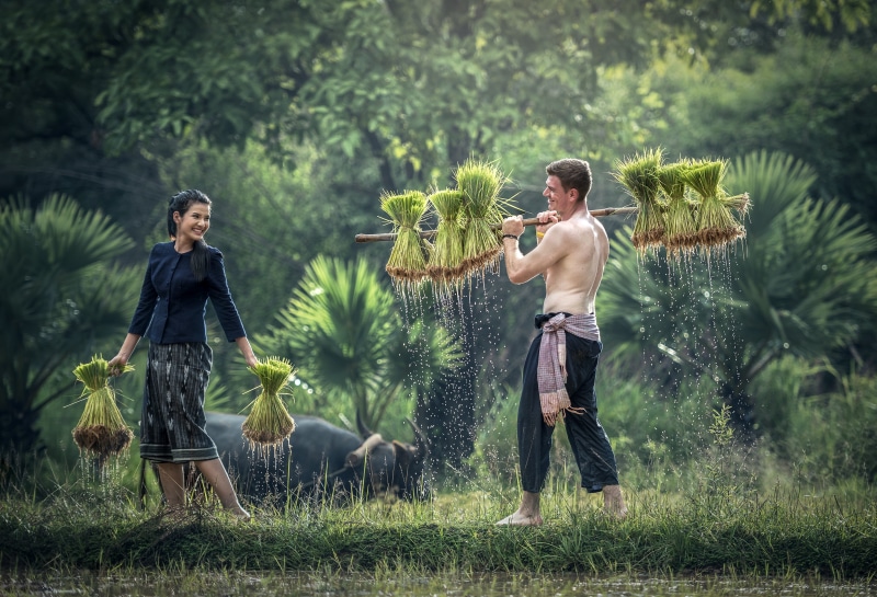 culture, sleeved, the scene, males, cultivate, childhood, sapa, pretty, happiness, traditional, the country, harvest, tree, two people, child, boys, golf