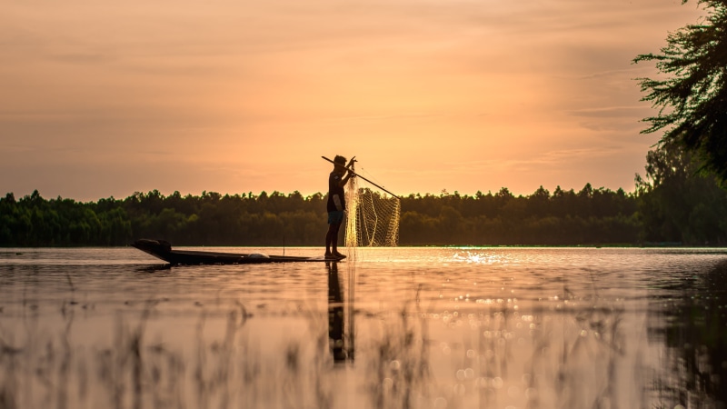 4K, sunset, agriculture, net, outside of the house, outdoor, green, Outside, people, cambodia, reflection, pretty, buffalo, tree, holiday, holding, pa