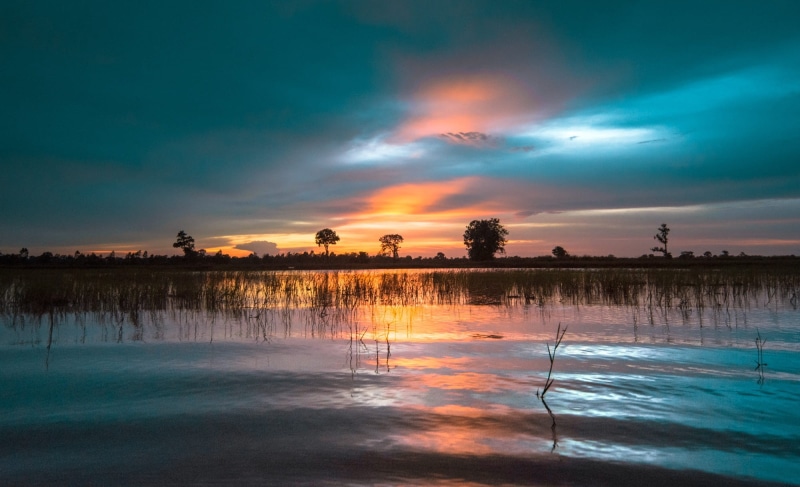 scenics, cambodia, laos, the job, life, reflection lake, grass, cultivating, tranquility, sunset, outdoors, idyllic, culture, cloud - sky, thailand, traditional