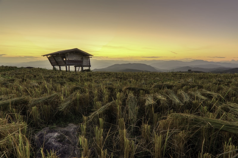 land, asia, sky, cultivating, beauty in nature, farm, thailand, chiang mai thailand, mountains, canyons, rice, green, environment, irrigation, quiet and peaceful
