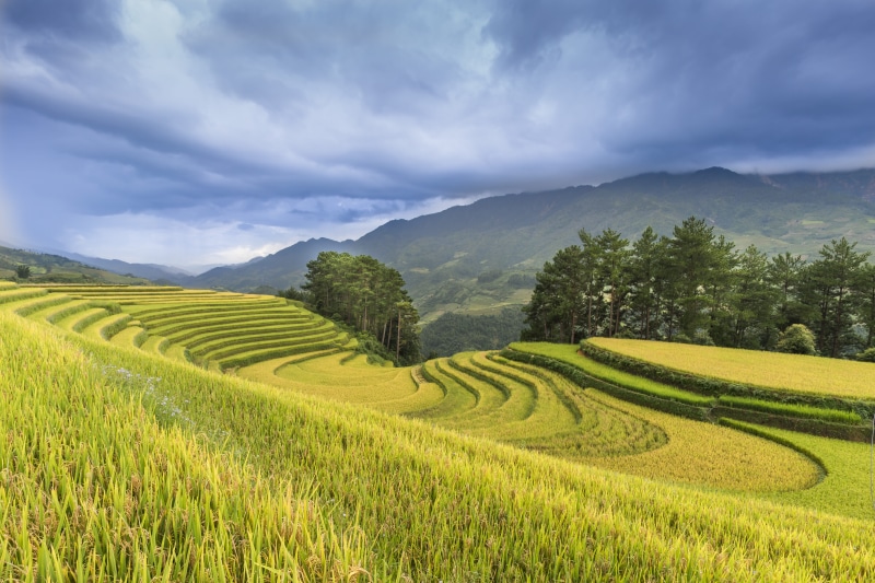 terraces, the farm, only women, agriculture, the landscape, the valley, many color, minority, landscape, growth, sky, blue, people, field, plant, green