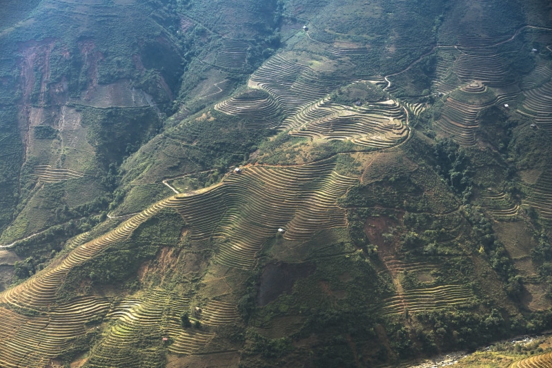 rough, magical, green, rice, high angle view, photo, terrace, daytime, farmer, food, growth, plant, outdoors, scenics - nature, paradise, asia, vietnam