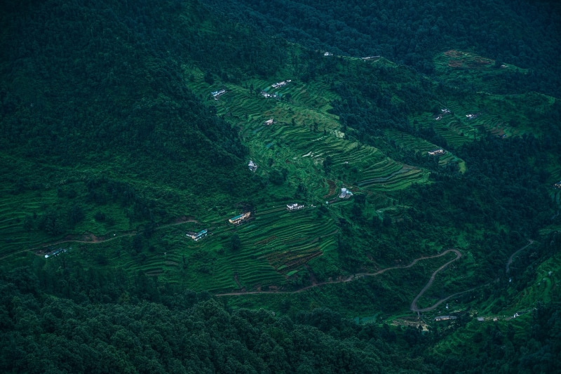 scenic, growth, trees, mountain, house, view, farm, tranquil scene, terraces, district, travel, meadow, river, rice, no people, foliage, tree, famous, ecology