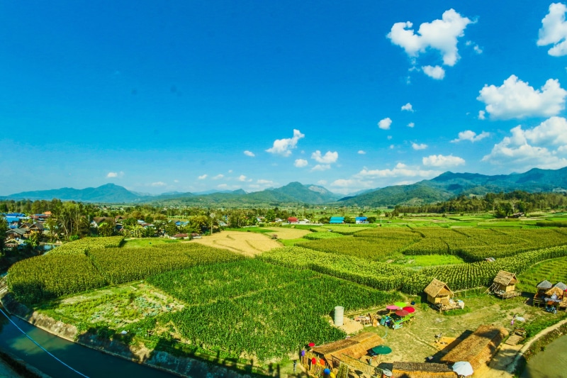cloud - sky, pasture, clear, asia, growth, view, oriental, skies, wheat field, summer, foliage, day, houses, harvest, meadow, scene, Asian, agriculture