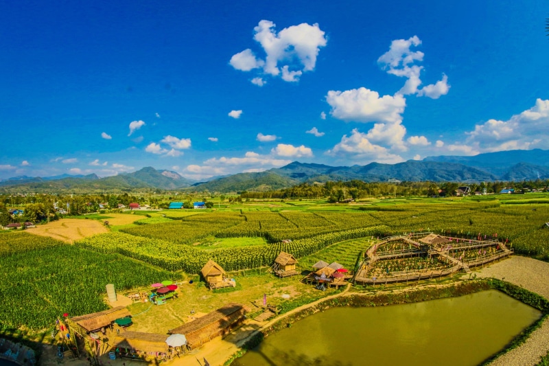 panorama, travel, cloudy, view, organic, field, straw, pasture, day, rice - cereal plant, harvest, cloud - sky, daylight, thailand, high angle shot, wheat field