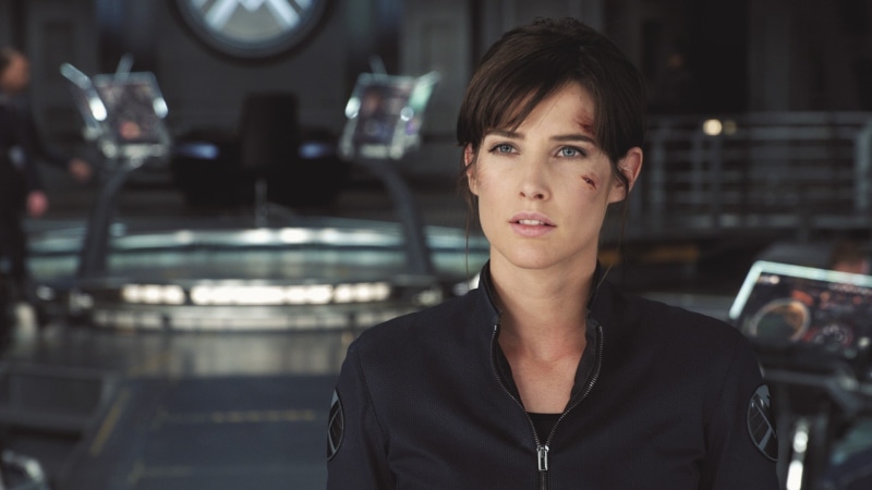 1080P, Cobie Smulders, Maria Hill, S.H.I.E.L.D., The Avengers