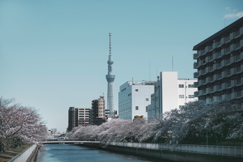 cityscape, japan, near, 5K, urban, modern, sky, canal, building, water, skyscraper, tower, nature, tokyo skytree, building exterior, outdoors, no people