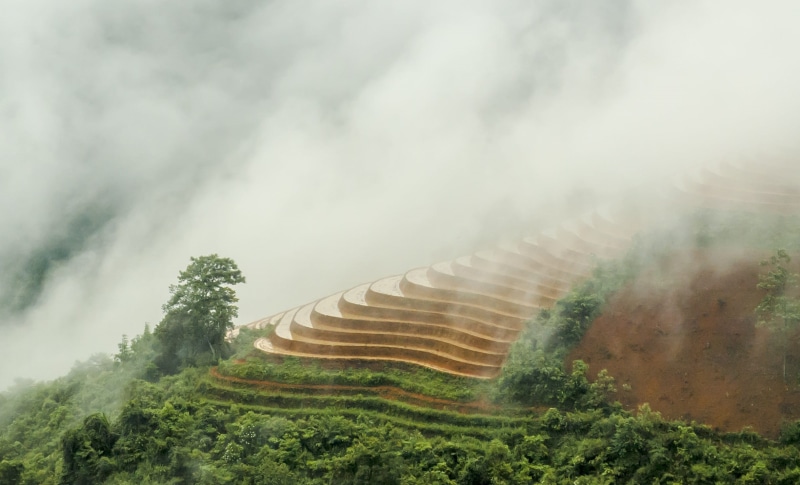 scenics - nature, Vietnam, Travel, east, hill, tree, rice Paddy, growth, 1080P, crop, tranquil scene, Sapa, scenics, beauty in nature, field, nature, plant