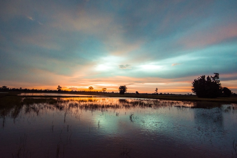 golf club, cultivating, farmland, pathetic, beautiful, for farming, waterfront, farmer, water, beauty in nature, tranquil scene, outside of the house, lifestyle