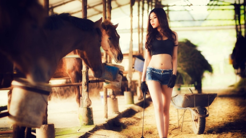 outdoors, mammal, stable, livestock, black tops, one person, blue, denim, looking away, shorts, torn jeans, leisure activity, women, jean shorts, beautiful woman