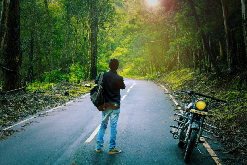 riding, outdoors, plant, road, wild, travel, tree, Season, forest, Nature, wood, lifestyles, mountain, one person, casual clothing, transportation, rear view