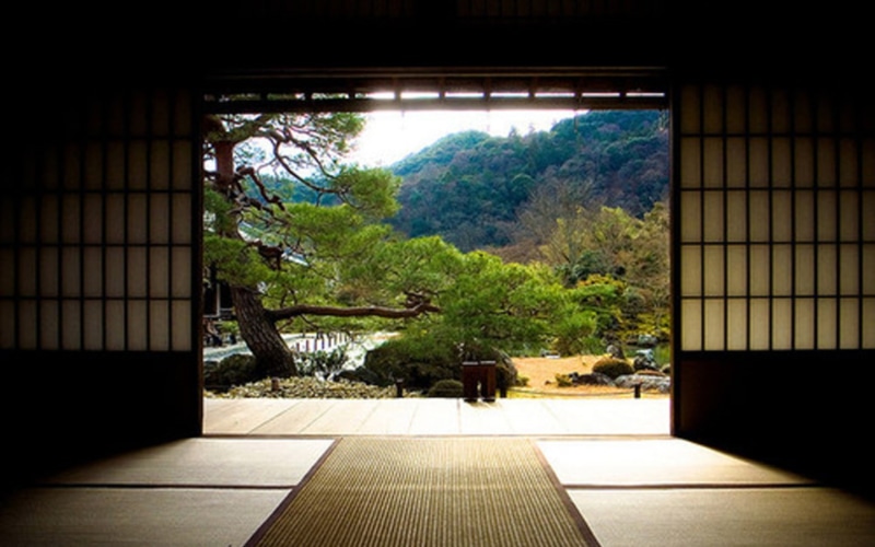 art, nature, indoor, 720P, hd, dojo, Green