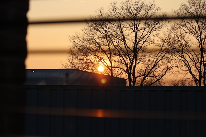 sunset, 5K, cloud - sky, sunlight, trees, reflection, building exterior, architecture, orange color, outdoors, branch, no people, bare tree, mors 11, building