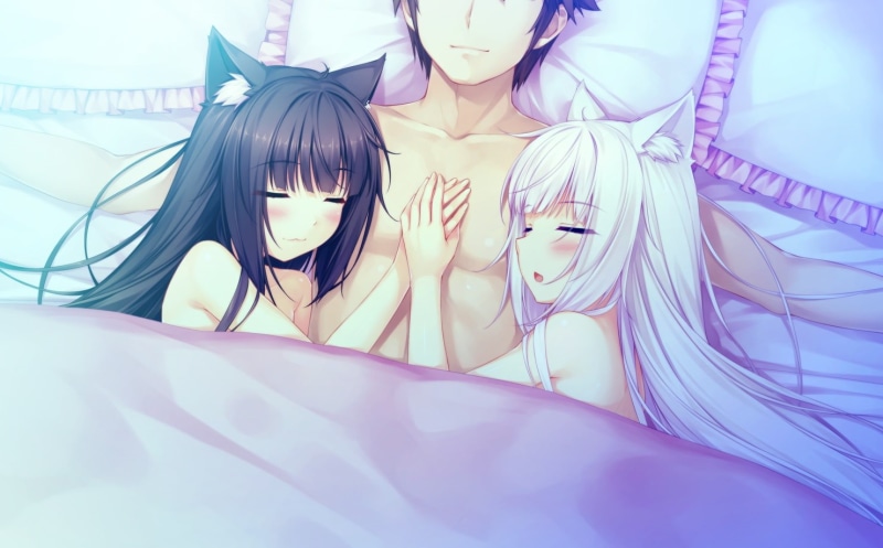 sleeping, ears, hair, vanilla, kashou, bed, neko, male, 256732, blush, minazuki, nekopara, com, animal, works, white, konachan, (sayori), brown, sayori