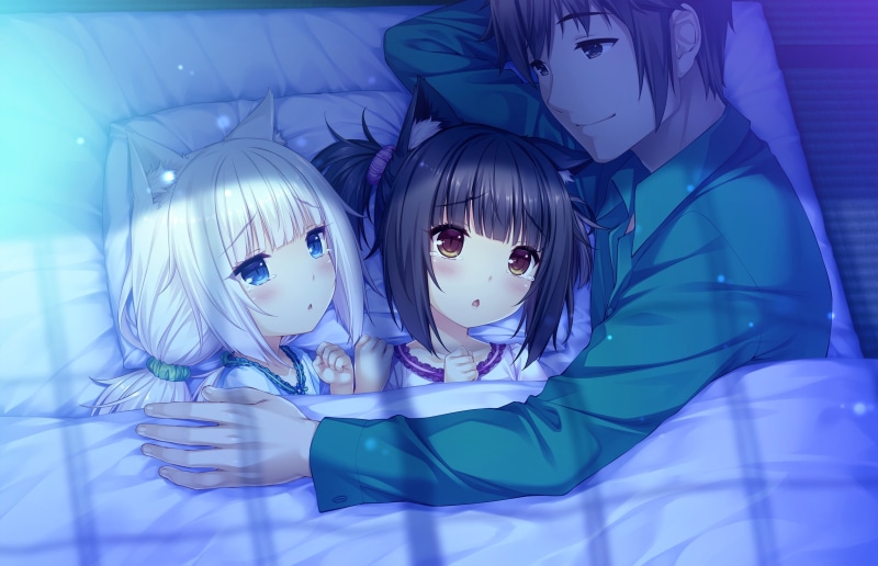 neko, lighting equipment, blue, male, 1080P, works, loli, catgirl, brown, com, toy, black, indoors, glass - material, white, game, short, tears, plastic