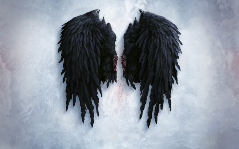 cold temperature, wings, artwork, nature, 1080P, fantasy art, day, vertebrate, winter, water, ice, bird, frozen, animal themes, animal wildlife, angel