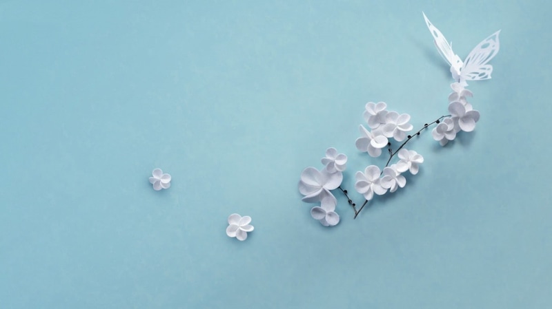 cut out, blue, expense, abundance, luxury, plants, flowers, butterfly, large group of objects, blue background, shiny, choice, studio shot, artwork, no people