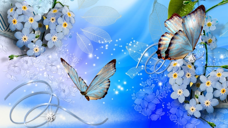 floral, flowers, 1080P, Butterfly, Blue, nature, butterflies, Firefox Persona, hd, art, diamonds