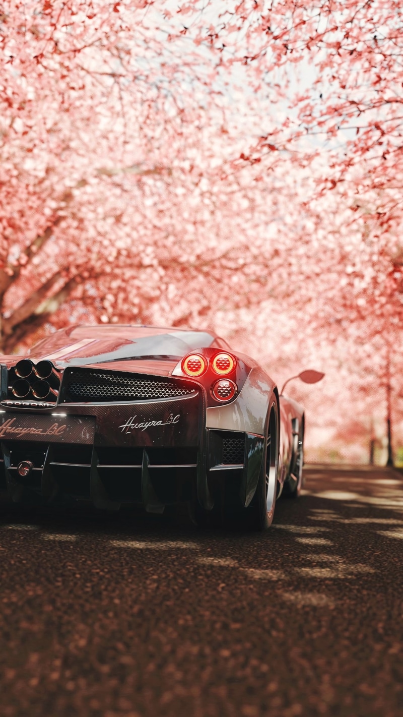 pagani, pagani huayra, 4K, supercar, sports car, rear view, sakura
