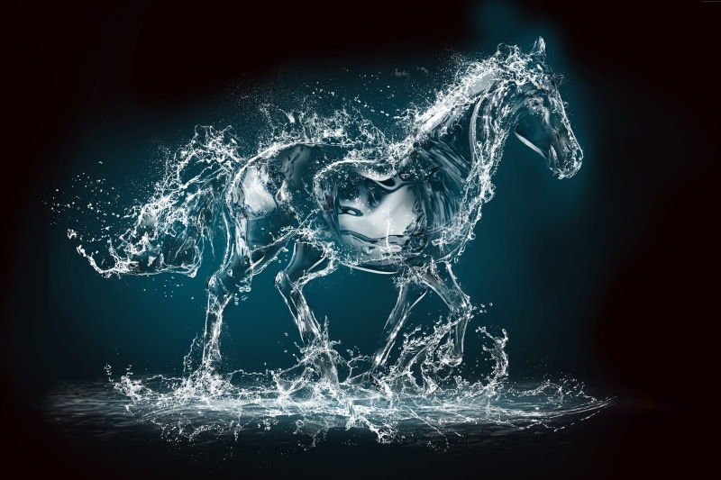transparent, 8K, 10K, Horse, water