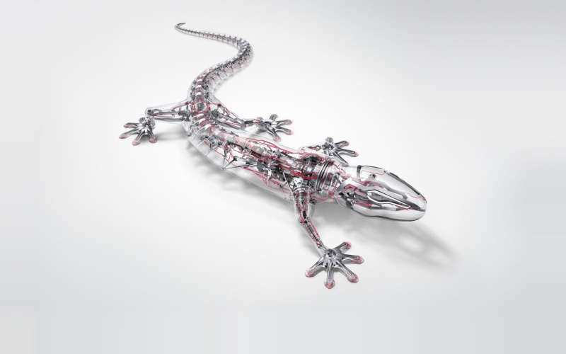 animals in the wild, animal themes, metal, animal representation, isolated, reptile, CGI, wildlife, insect, digital art, model, dragon, backgrounds, animal wildlife