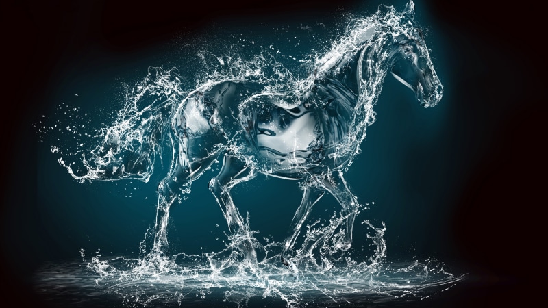 water, transparent, 8K, Horse, 10K