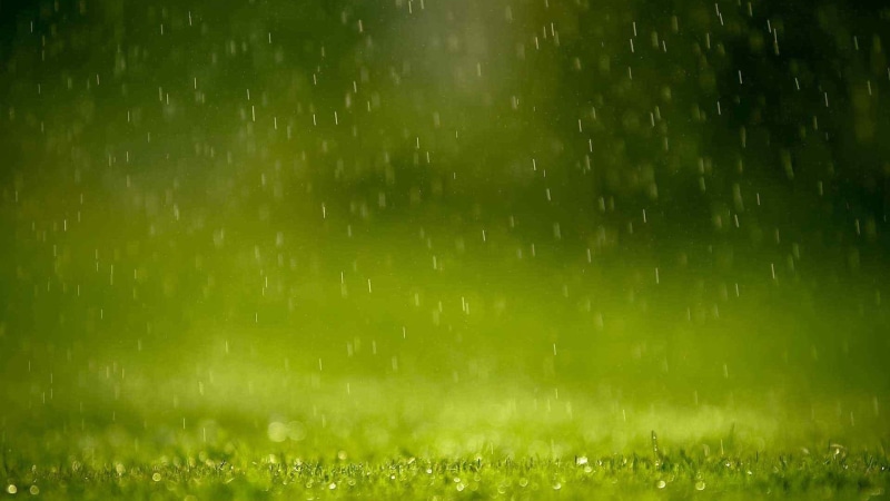 textured effect, 1080P, digital, art, futuristic, web, fresh, lawn, environment, texture, backgrounds, design, outdoors, water, bright, grass