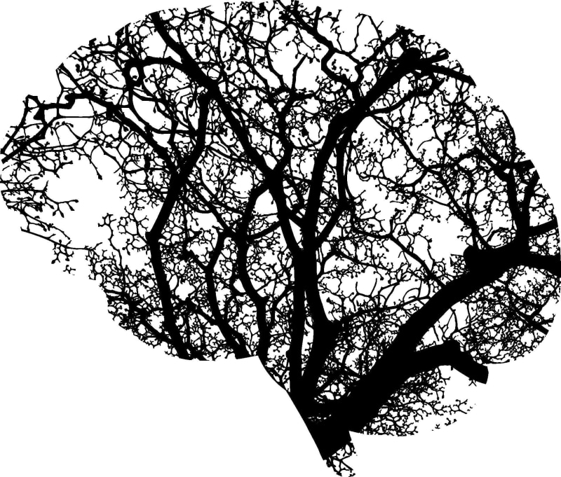 people, ai, silhouette, trunk, tranquility, head, compute, brain, nature, green, day, contemplate, low angle view, anatomy, ecology, computation, cranium