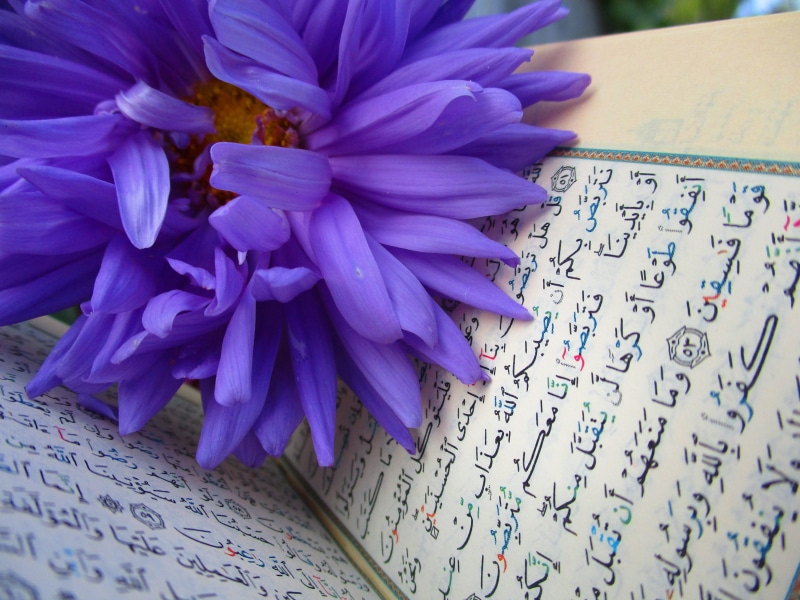 allah, sur, bunch of flowers, close-up, islam, no people, book, inflorescence, indoors, muslims, flowering plant, beauty in nature, petals, non-western script
