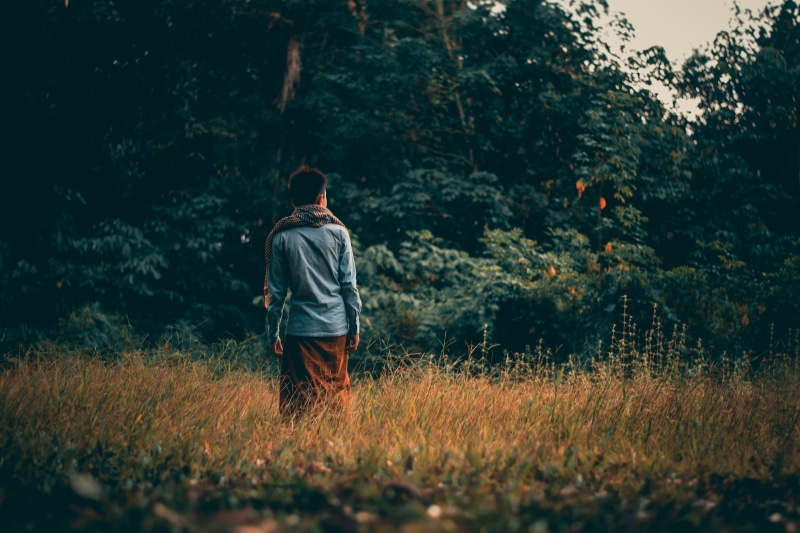 shorts, three quarter length, beauty in nature, selective focus, casual clothing, land, forest, tree, lifestyles, 5K, nature, real people, solitude, day