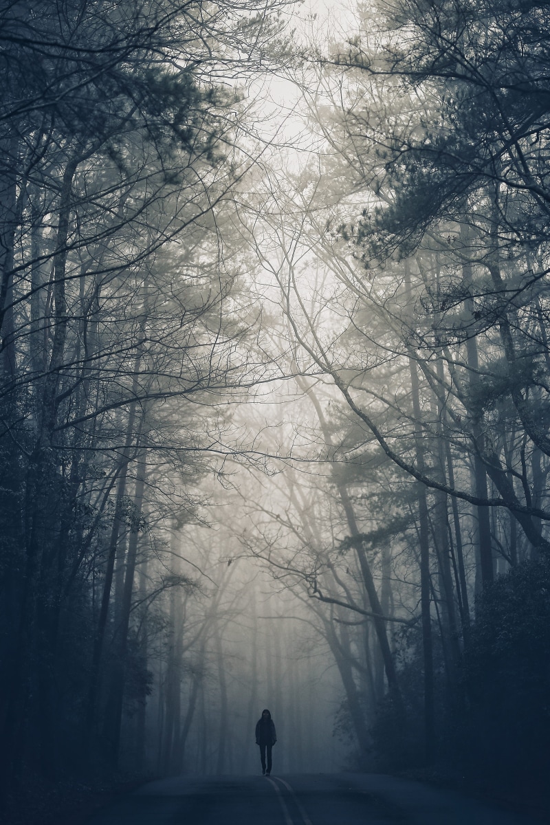 quiet, spooky, person, loneliness, mist, woodland, winter, noontime, scenics, horror, silhouette, forest, footpath, nature, 4K, men, scary, season, tree