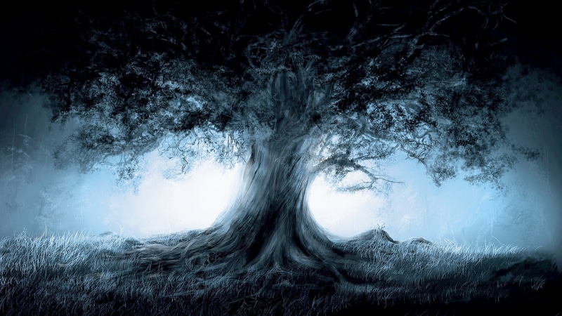 tree of life, tree, darkness, 1080P, sky, forest