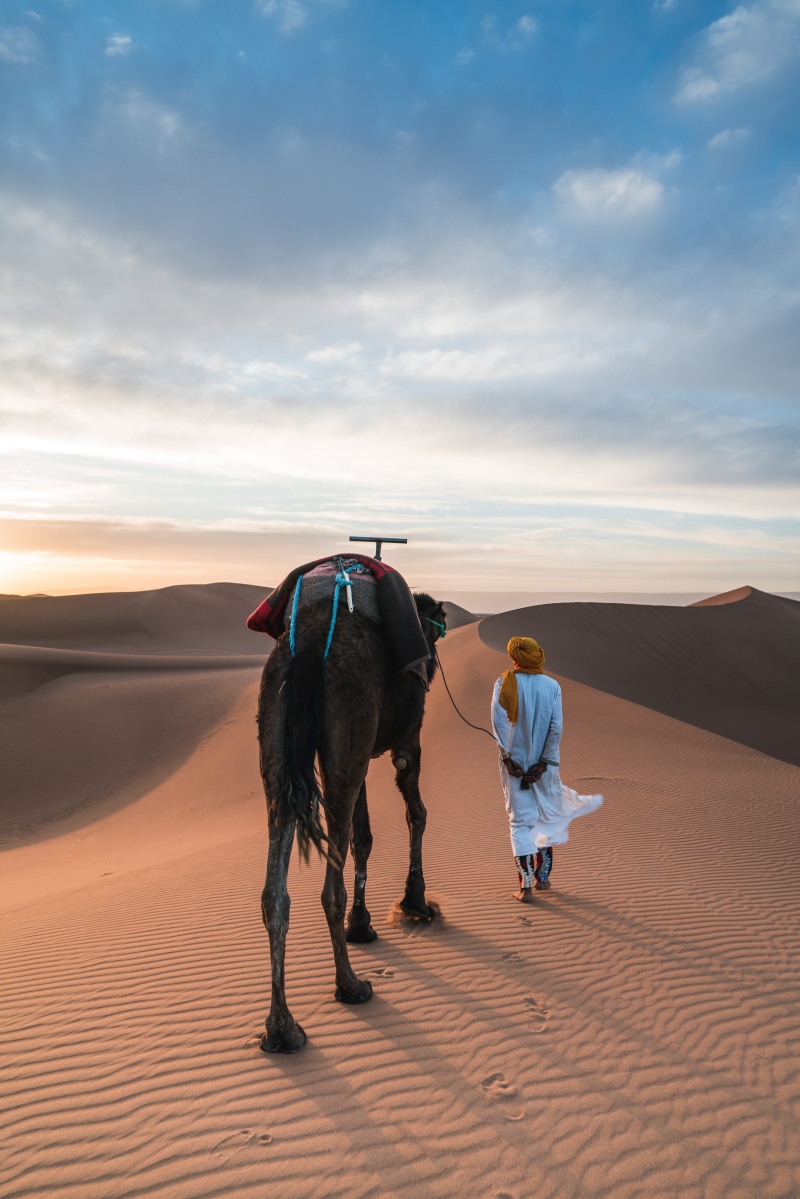 herbivorous, nature, one animal, scenics - nature, domestic animals, turban, walk, camel, cloud - sky, working animal, sand, pets, real people, morocco