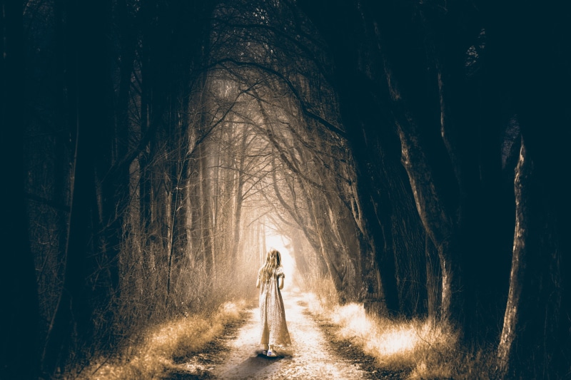one person, rear view, dark, fear, transportation, darkness, plant, treelined, frightening, composing, road, lifestyles, horror, tranquility, woodland