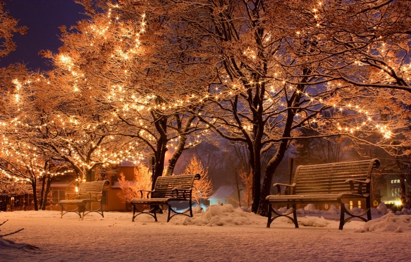 wooden, cold temperature, night, built structure, bench, urban, park, trees, tree, beauty in nature, seat, illuminated, snow, 4K, park bench, brown, nature