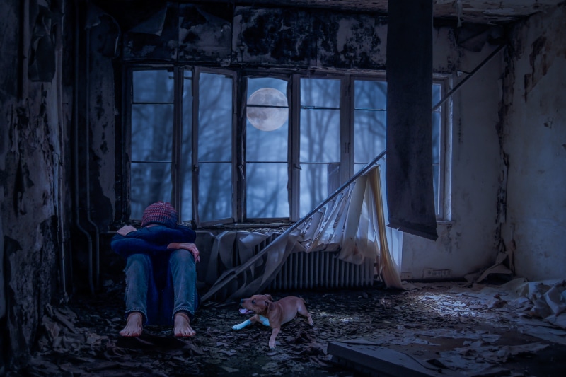 women, lonely, despair, dog, alone, window, messy, photo montage, short, lost place, desperate, bullying, loss, mood, coated, architecture, top, hopeless