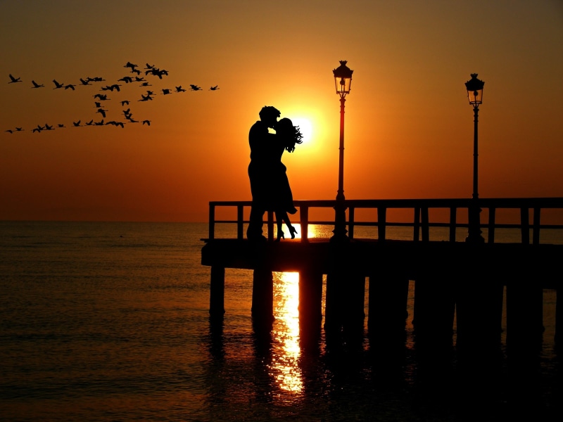 horizon over water, people, mirroring, man, full length, lanterns, silhouette, love, vertebrate, sea, abendstimmung, scenics - nature, standing, animal themes