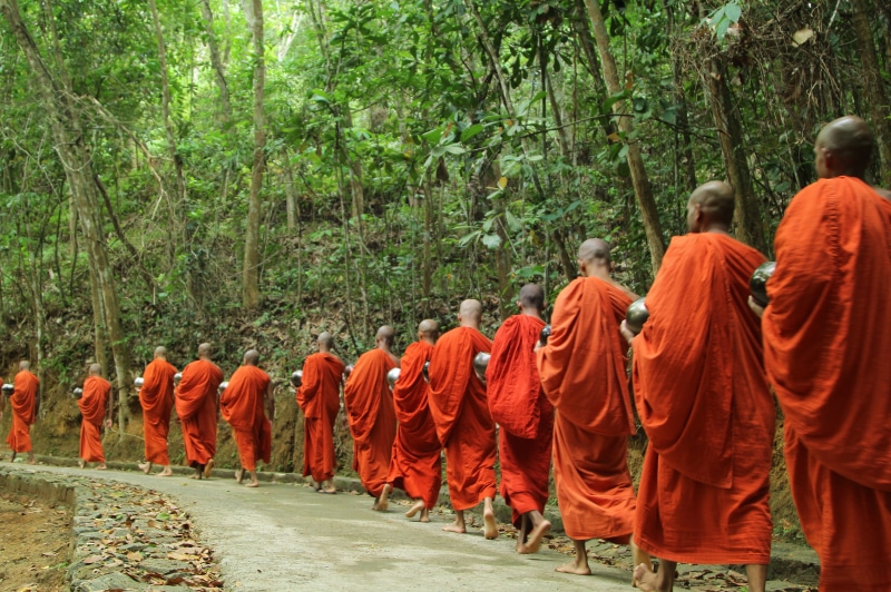 sri lanka, group of people, meditating, line, enjoy, religion, meditation, traditional clothing, trees, good, procession, real people, pindapata, mahamevnawa