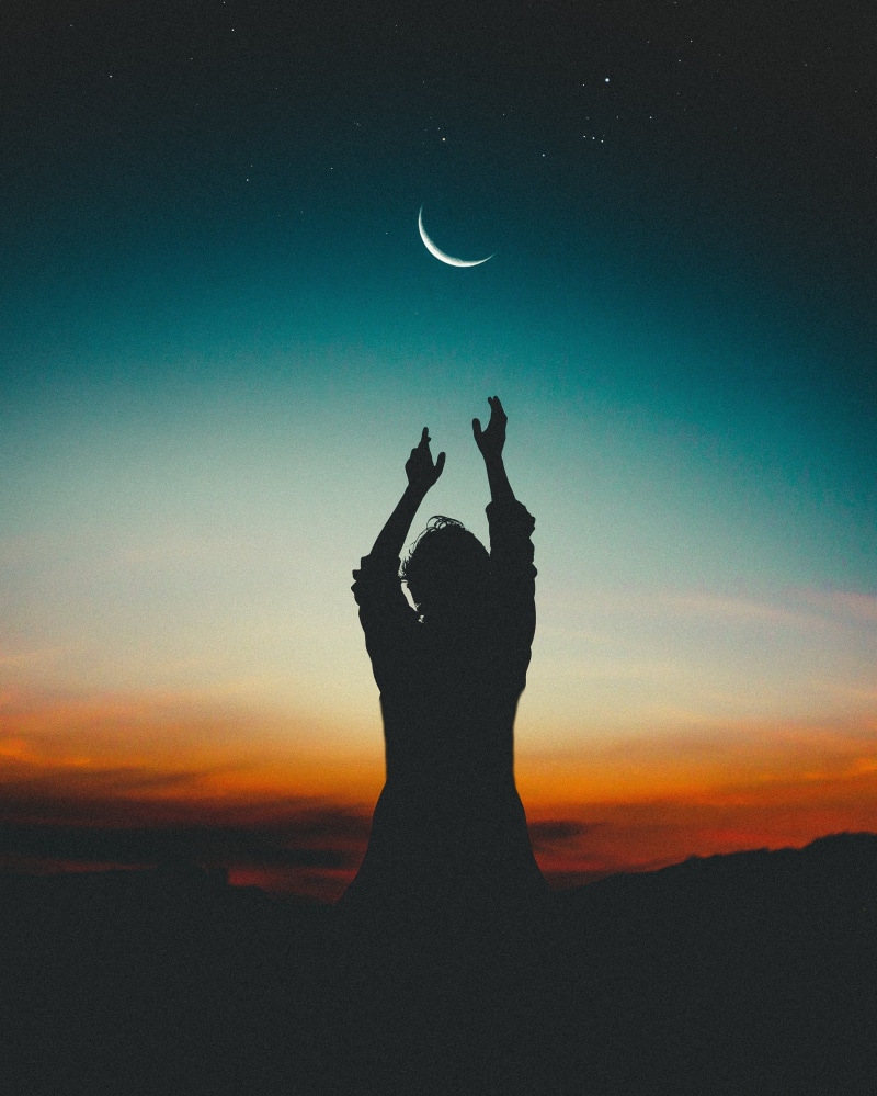 enjoyment, joy, adult, human limb, sky, dusk, people, nature, summer, hand raised, winning, sun, beauty in nature, cheerful, sunlight, scenics - nature