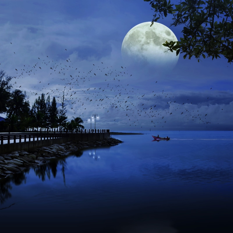 beauty in nature, moon, coast, planet, blue, sea, cloud - sky, nature, surface, waterfront, scenics - nature, transportation, calm, moonlight, seaside